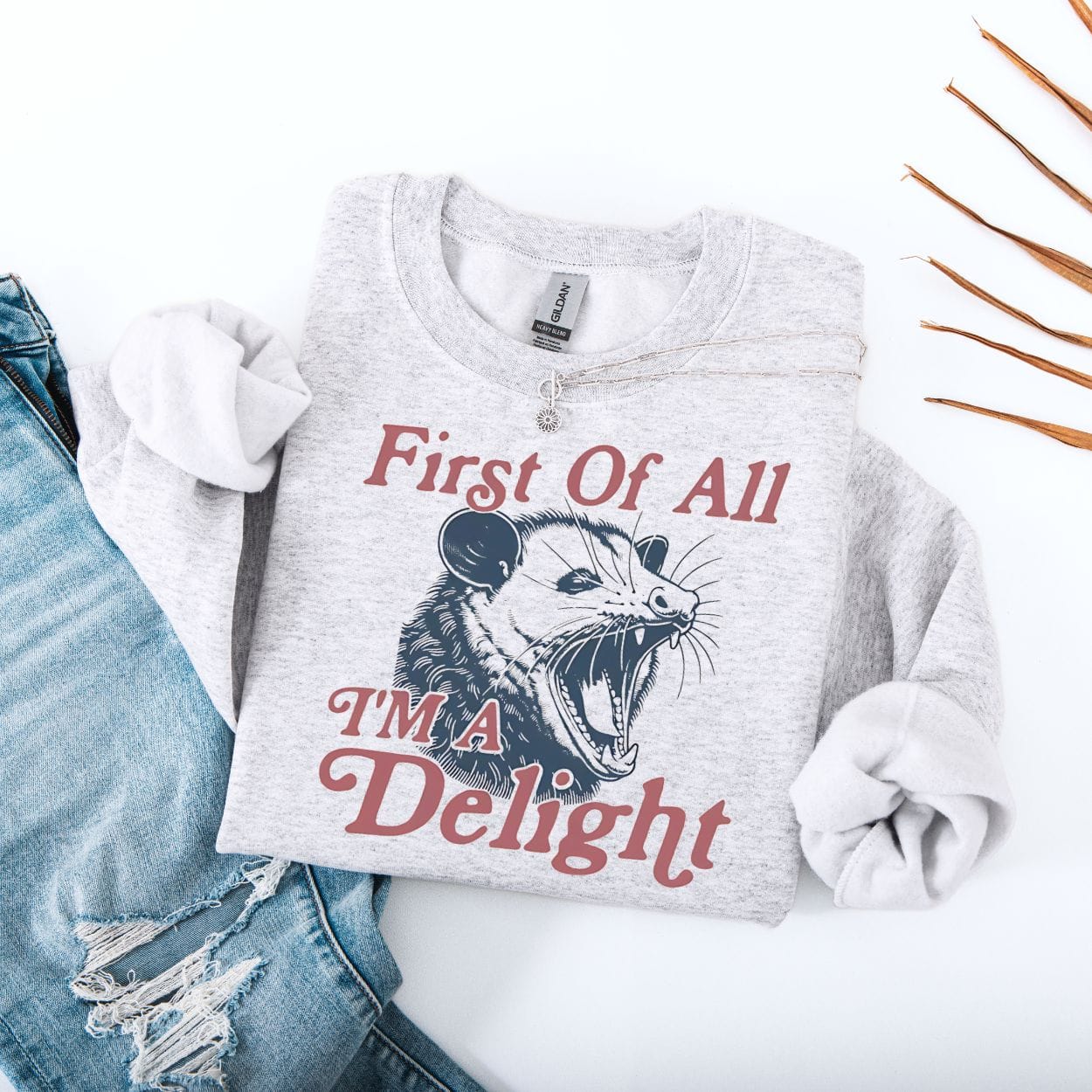 Sweatshirt S / Ash First Of All I'm A Delight Possum Sweatshirt