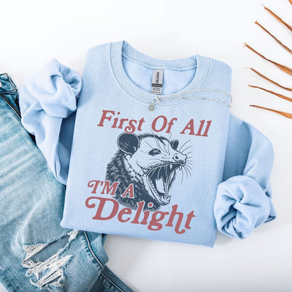 Sweatshirt S / Light Blue First Of All I'm A Delight Possum Sweatshirt