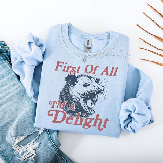 Sweatshirt S / Light Blue First Of All I'm A Delight Possum Sweatshirt
