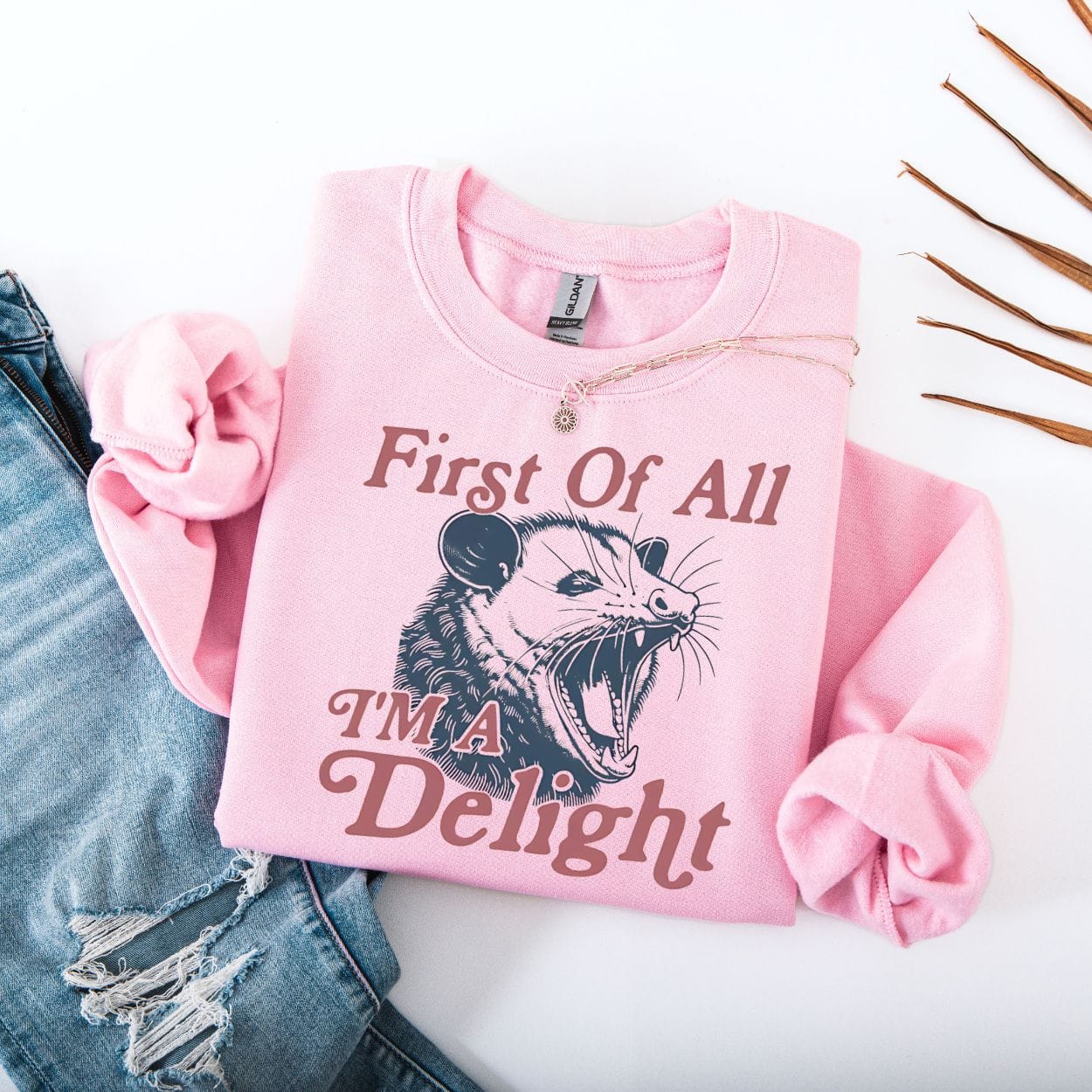 Sweatshirt S / Light Pink First Of All I'm A Delight Possum Sweatshirt