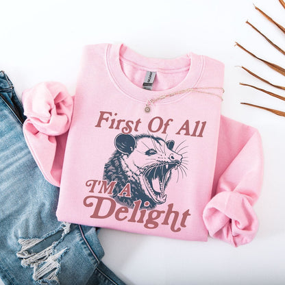 Sweatshirt S / Light Pink First Of All I'm A Delight Possum Sweatshirt