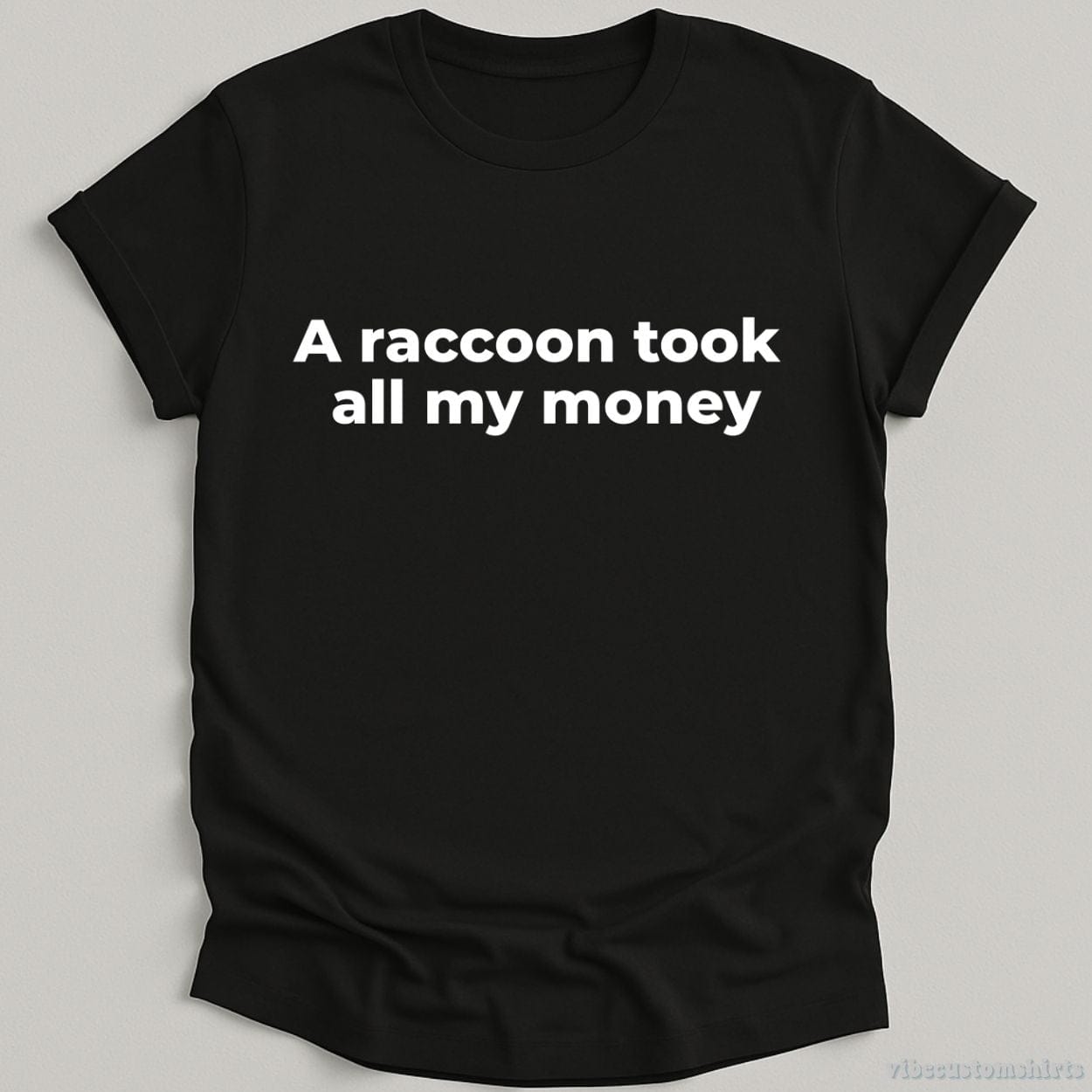 T-Shirt Black / S A Raccoon Took All My Money Shirt