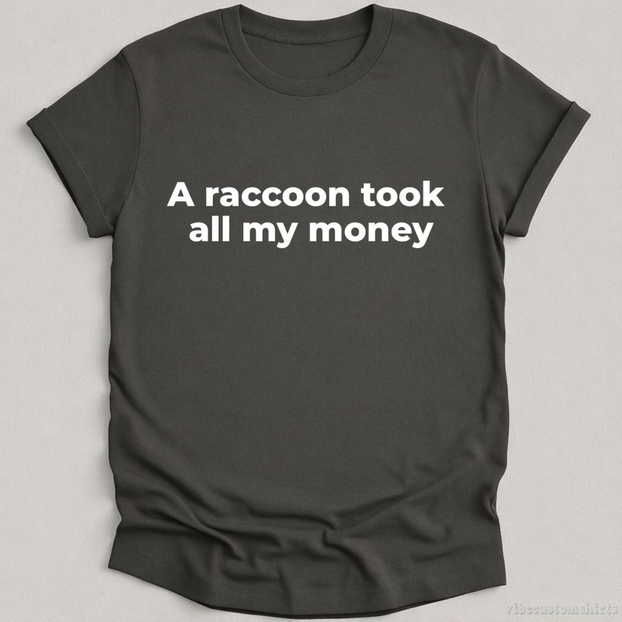 T-Shirt Charcoal / S A Raccoon Took All My Money Shirt