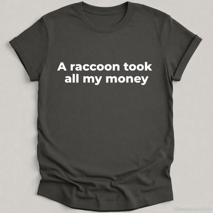T-Shirt Charcoal / S A Raccoon Took All My Money Shirt