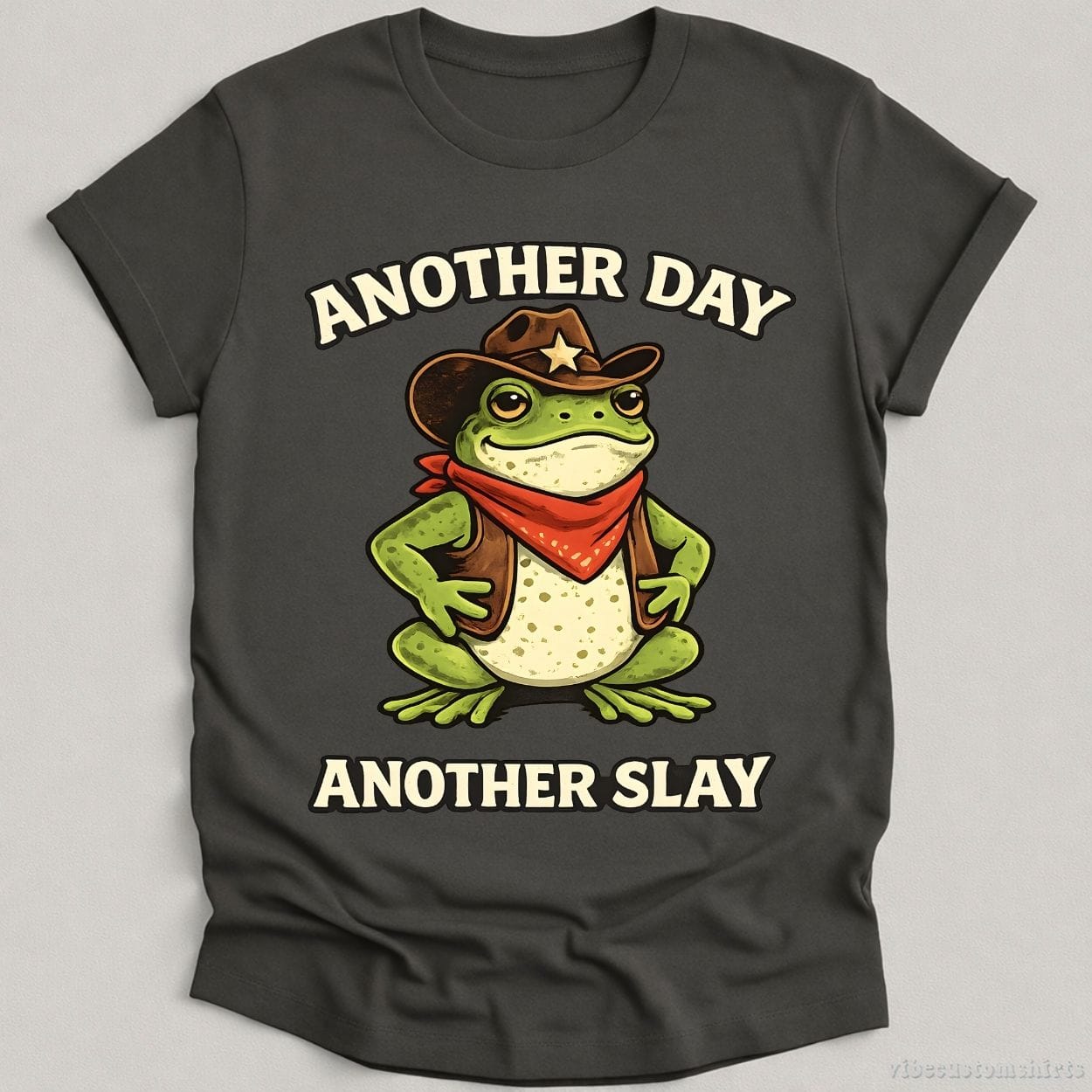 T-Shirt Charcoal / S Another Day Another Slay Cowboy Frog Shirt
