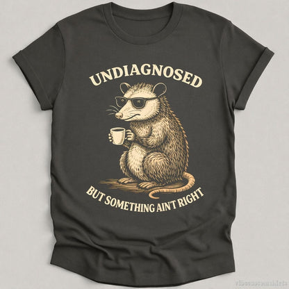 T-Shirt Charcoal / S Undiagnosed But Something Ain't Right Cool Possum Shirt