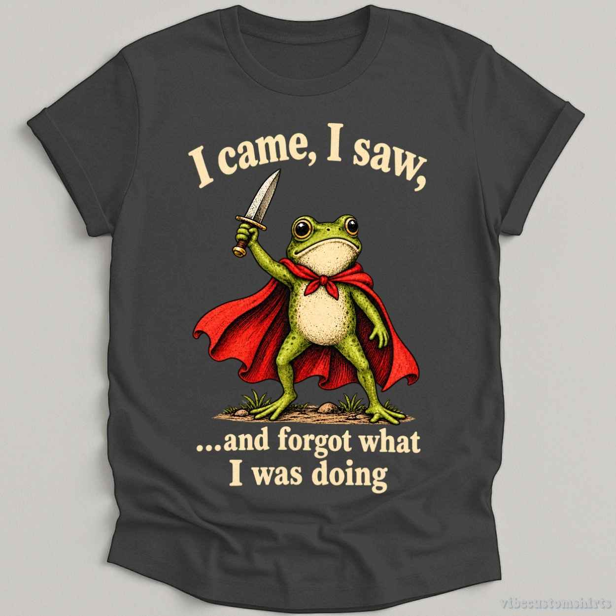 T-Shirt Dark Heather Grey / S I Came I Saw And Forgot What I Was Doing Frog Shirt