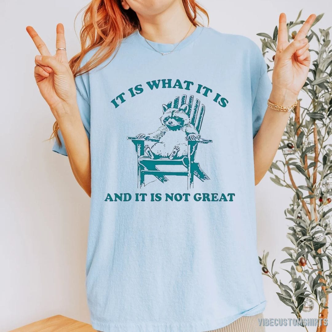 T-Shirt It Is What It Is And It Is Not Great Funny Raccoon Sarcastic T-Shirt