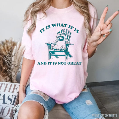 T-Shirt It Is What It Is And It Is Not Great Funny Raccoon Sarcastic T-Shirt