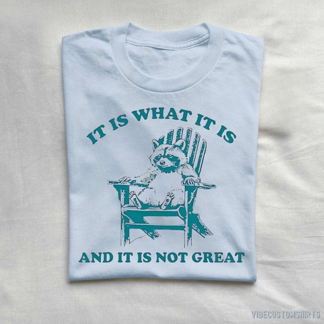 T-Shirt Light Blue / S It Is What It Is And It Is Not Great Funny Raccoon Sarcastic T-Shirt