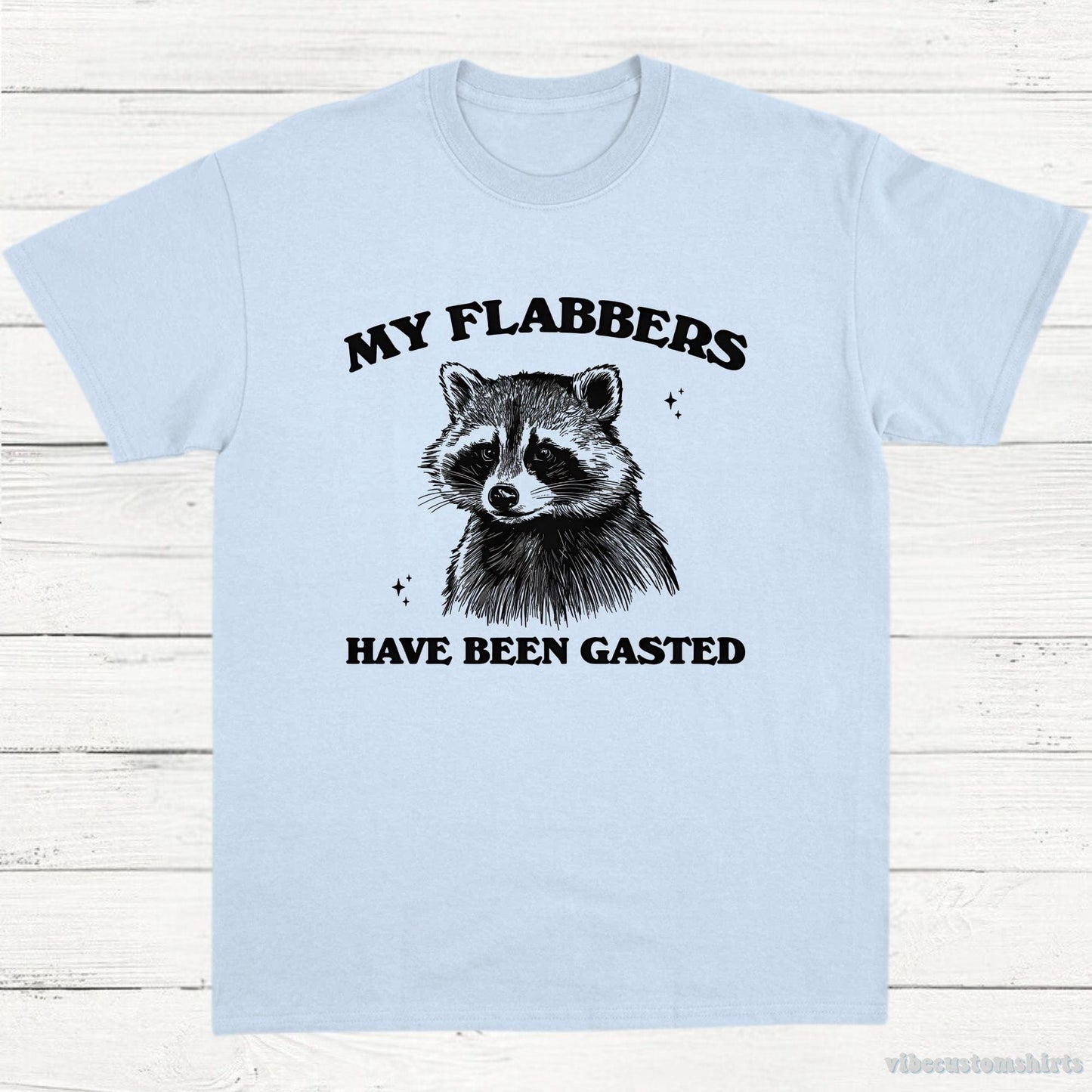 T-Shirt Light Blue / S My Flabbers Have Been Gasted Raccoon Meme Shirt