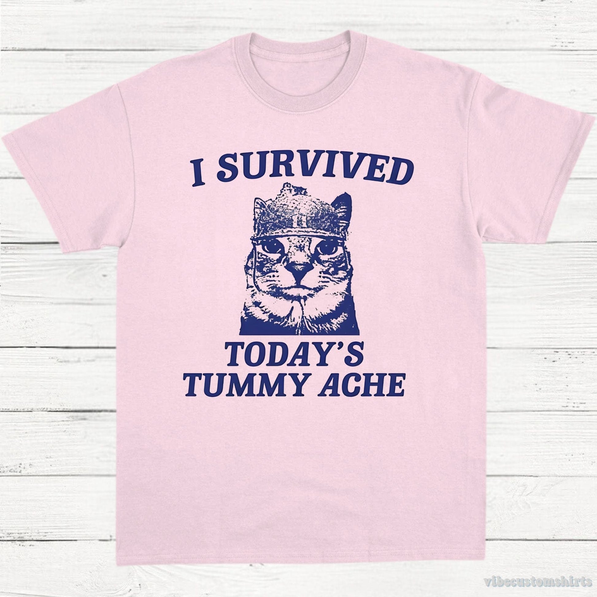 T-Shirt Light Pink / S I Survived Today's Tummy Ache Shirt