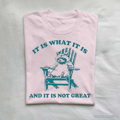 T-Shirt Light Pink / S It Is What It Is And It Is Not Great Funny Raccoon Sarcastic T-Shirt