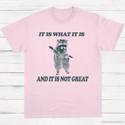 T-Shirt Light Pink / S It Is What It Is And It Is Not Great T Shirt