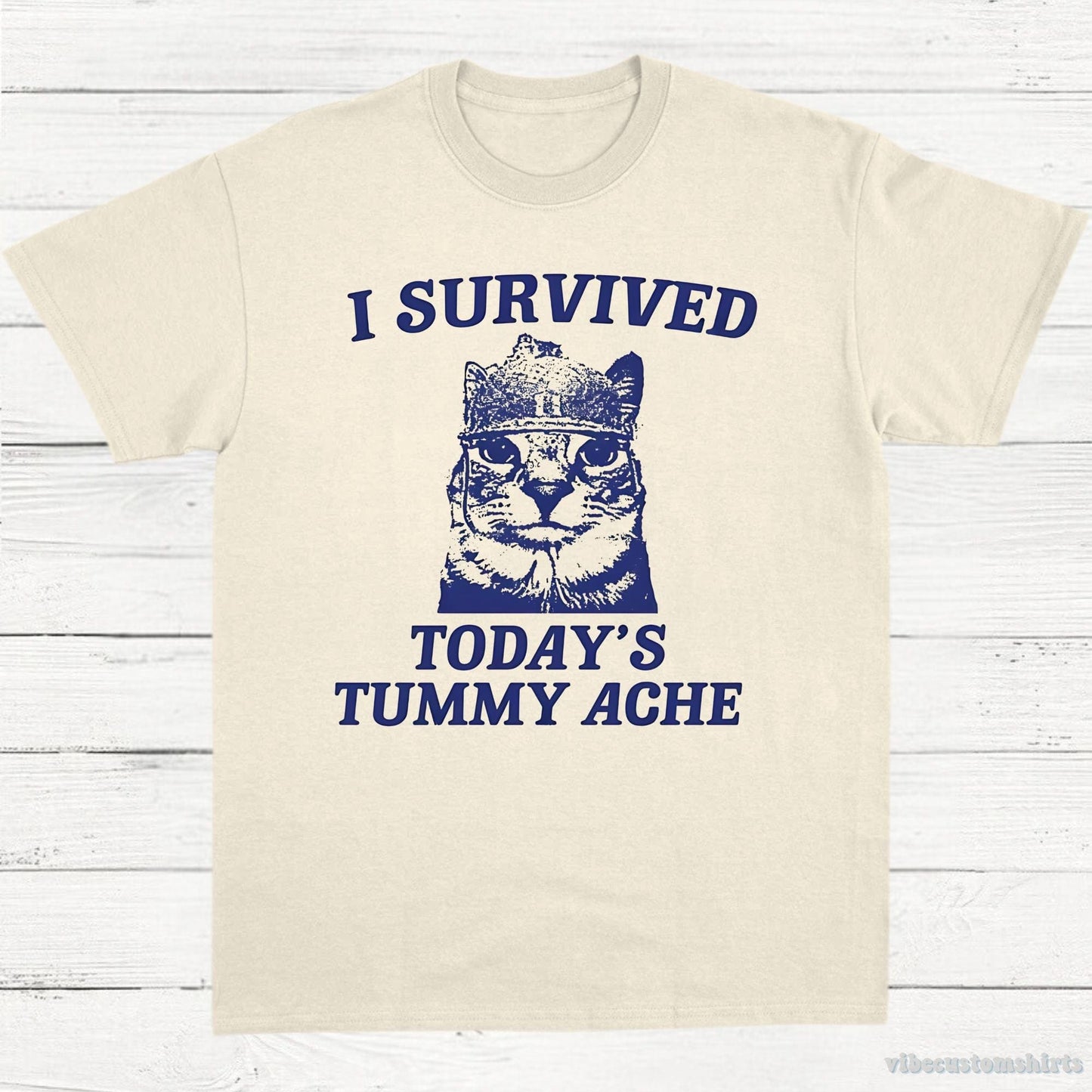 T-Shirt Natural / S I Survived Today's Tummy Ache Shirt