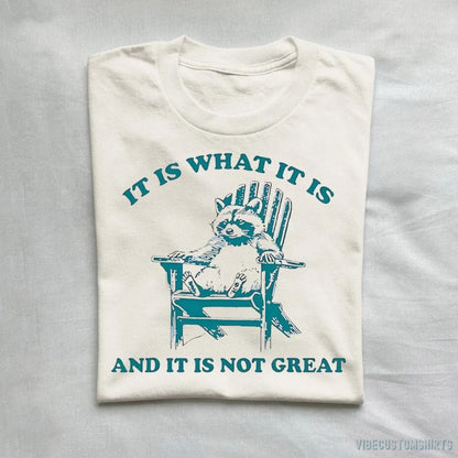 T-Shirt Natural / S It Is What It Is And It Is Not Great Funny Raccoon Sarcastic T-Shirt