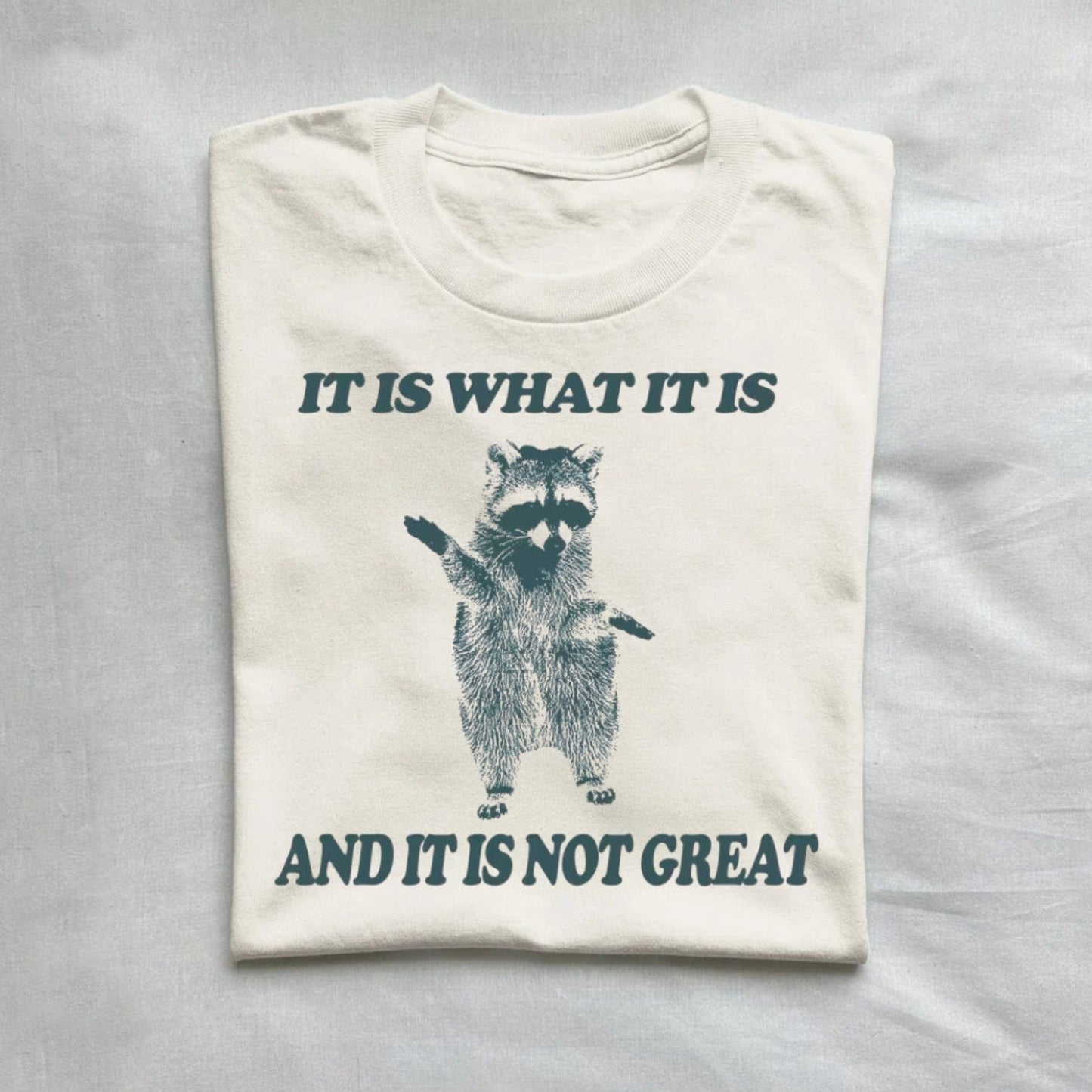 T-Shirt Natural / S It Is What It Is And It Is Not Great T Shirt