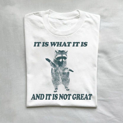 T-Shirt White / S It Is What It Is And It Is Not Great T Shirt